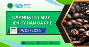 Cập nhật mức ký quỹ giao dịch liên kỳ hạn mặt hàng Cà phê ngày 19/05/2026
