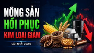 Bản tin nhanh hàng hóa 20/05: Dòng tiền thận trọng, nông sản giữ nhịp hồi phục