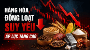 Bản tin nhanh hàng hóa 18/05: Nông sản và nguyên liệu công nghiệp đồng loạt suy yếu, kim loại chịu áp lực mạnh