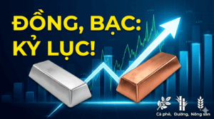 Bản tin nhanh hàng hóa 14/05: Giá đồng và bạc lập đỉnh, kỳ vọng từ hội nghị Mỹ – Trung