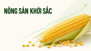 Bản tin nhanh hàng hóa 21/07: Nông sản khởi sắc, bạc phục hồi lên 57 USD