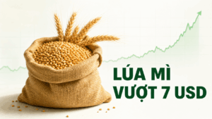 Bản tin nhanh hàng hóa 27/07: Lúa mì vượt 7 USD, nông sản đồng loạt tăng