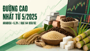 BẢN TIN NHANH HÀNG HÓA 19/08: ĐƯỜNG CAO NHẤT TỪ 5/2025, ARABICA TĂNG 5,3%