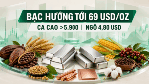 BẢN TIN NHANH HÀNG HÓA 24/08: BẠC HƯỚNG TỚI 69 USD/OUNCE, CA CAO TRÊN 5.900 USD/TẤN