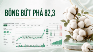 Bản tin nhanh hàng hóa 05/08: Bông bứt phá 82,3, đồng lên đỉnh hai tuần