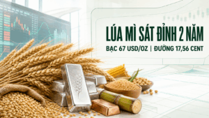 BẢN TIN NHANH HÀNG HÓA 20/08: LÚA MÌ TIẾN SÁT ĐỈNH HAI NĂM, BẠC QUANH 67 USD/OUNCE