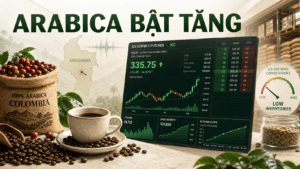 BẢN TIN NHANH HÀNG HÓA 12/08: ARABICA TĂNG TRƯỚC RỦI RO COLOMBIA, BẠC GIỮ VÙNG 64 USD
