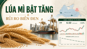 BẢN TIN NHANH HÀNG HÓA 13/08: LÚA MÌ TĂNG HƠN 3% VÌ RỦI RO BIỂN ĐEN