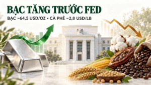 BẢN TIN HÀNG HÓA NGÀY 17 THÁNG 9 NĂM 2026 TRƯỚC QUYẾT ĐỊNH CỦA FED