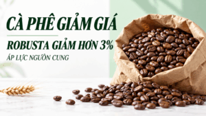 SPS Daily 16/10/2026: Cà phê giảm, lúa mì và bạc phục hồi