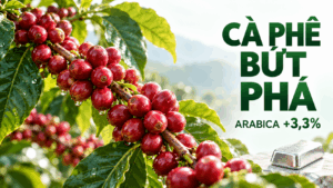 Thị trường hàng hóa 20/10/2026: Cà phê bứt phá, nông sản chịu sức ép nguồn cung